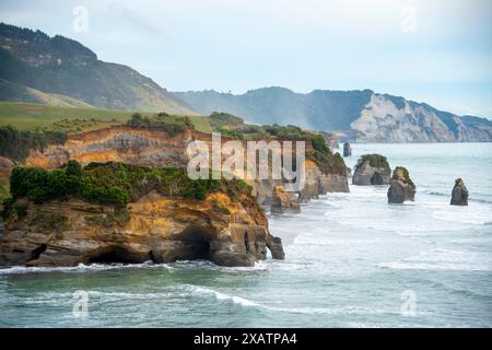 Fiume Tongaporutu - nuova Zelanda Foto Stock