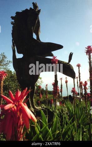 California, Stati Uniti, circa 1994. L'uccello Phoenix scolpito da Edmund Kara da un pezzo di legno. Foto Stock