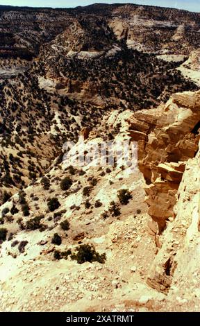 Vista sul White Canyon nello Utah, Stati Uniti, circa 1991 Foto Stock