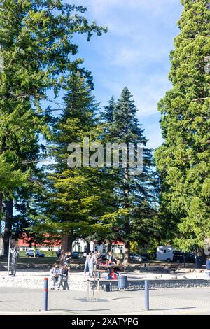 Lodge Reserve Hanmer Springs, Conical Hill Road, Hanmer Springs, North Canterbury, Canterbury Region, isola del Sud, nuova Zelanda Foto Stock