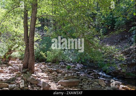 Christopher Creek nella Tonto National Forest Foto Stock