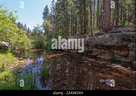 Christopher Creek nella Tonto National Forest Foto Stock