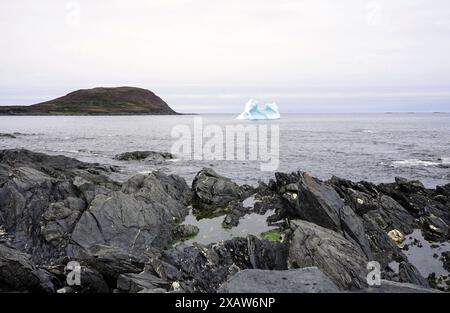 Piccolo iceberg vicino a una costa rocciosa sulla penisola settentrionale di Terranova Foto Stock