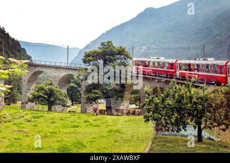 Treno Bernina Express sul viadotto di Brusio Foto Stock