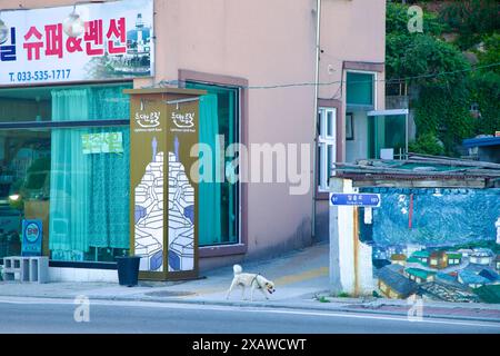 Donghae City, Corea del Sud - 18 maggio 2024: L'ingresso alla Lighthouse Road, segnata da cartelli e murales, conduce a Nongoldam Street, che mostra l'area circostante Foto Stock