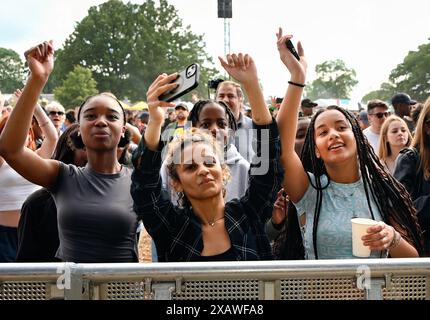 Londra, Regno Unito. 8 giugno 2024. Migliaia di persone partecipano al Lambeth Country Show 2024 caldo giorno d'estate al Brockwell Park, Londra, Regno Unito. Credito: Vedi li/Picture Capital/Alamy Live News Foto Stock