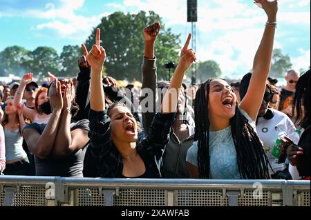 Londra, Regno Unito. 8 giugno 2024. Migliaia di persone partecipano al Lambeth Country Show 2024 caldo giorno d'estate al Brockwell Park, Londra, Regno Unito. Credito: Vedi li/Picture Capital/Alamy Live News Foto Stock