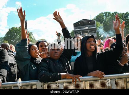 Londra, Regno Unito. 8 giugno 2024. Migliaia di persone partecipano al Lambeth Country Show 2024 caldo giorno d'estate al Brockwell Park, Londra, Regno Unito. Credito: Vedi li/Picture Capital/Alamy Live News Foto Stock