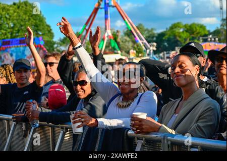 Londra, Regno Unito. 8 giugno 2024. Migliaia di persone partecipano al Lambeth Country Show 2024 caldo giorno d'estate al Brockwell Park, Londra, Regno Unito. Credito: Vedi li/Picture Capital/Alamy Live News Foto Stock