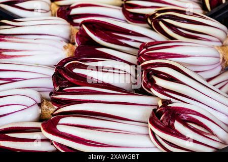 Verdure biologiche nel mercato agricolo di strada. Radicchio rosso crudo fresco di treviso in un cesto in Italia. Cicoria italiana. Alimentazione sana e bilanciata e. Foto Stock