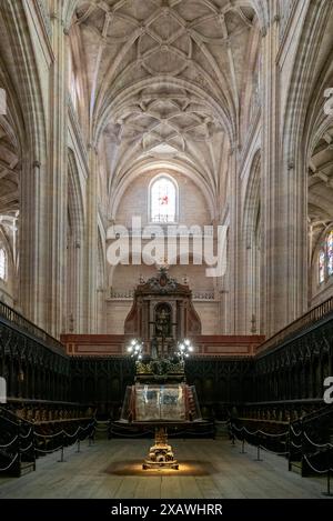 Segovia, Spagna - 7 aprile 2024: Veduta del coro della Cattedrale di Segovia Foto Stock