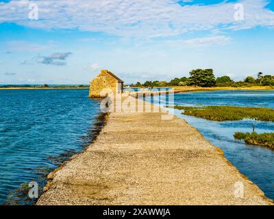 Splendida vista del mulino con marea e della sua diga all'isola di Arz in una giornata di sole, del golfo di Morbihan, della Bretagna, della Francia Foto Stock