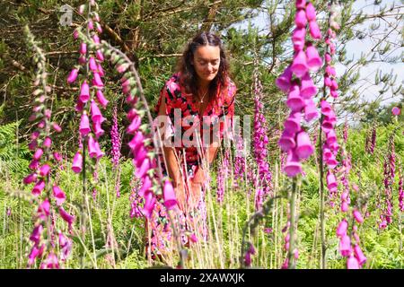 Foresta di Haldon, vicino a Exeter, Devon, Regno Unito. 9 giugno 2024. Meteo nel Regno Unito: Il colorato Raich Keene tra i guanti di nebbia selvaggi in una giornata di muggy nella foresta di Haldon, vicino a Exeter, Devon. Crediti: Nidpor/Alamy Live News Foto Stock