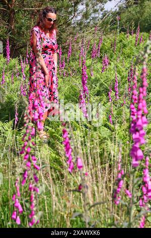 Foresta di Haldon, vicino a Exeter, Devon, Regno Unito. 9 giugno 2024. Meteo nel Regno Unito: Il colorato Raich Keene tra i guanti di nebbia selvaggi in una giornata di muggy nella foresta di Haldon, vicino a Exeter, Devon. Crediti: Nidpor/Alamy Live News Foto Stock