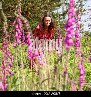 Foresta di Haldon, vicino a Exeter, Devon, Regno Unito. 9 giugno 2024. Meteo nel Regno Unito: Il colorato Raich Keene tra i guanti di nebbia selvaggi in una giornata di muggy nella foresta di Haldon, vicino a Exeter, Devon. Crediti: Nidpor/Alamy Live News Foto Stock