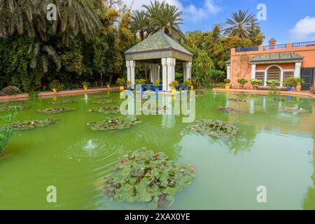 Lotuses rosse e bianche nella fontana, con accanto un padiglione riposante. Il Giardino Majorelle è conosciuto come il giardino più misterioso. Marrakech, Moro Foto Stock