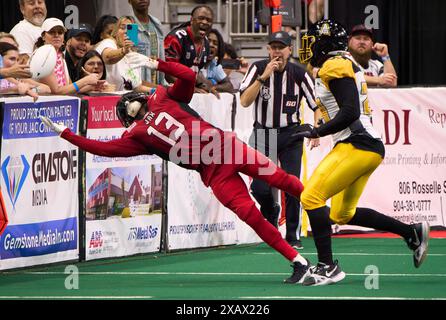 Jacksonville, Florida, Stati Uniti. 8 giugno 2024. Indoor Football League, Jacksonville Sharks vs Tulsa Oilers. Sharks WR DJ Stubbs (13) tiene gli occhi sulla palla e fa con successo la presa contro gli Oilers LB tre Harvey (24). Foto: Tim Davis/Alamy Live News Foto Stock