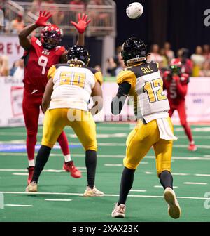 Jacksonville, Florida, Stati Uniti. 8 giugno 2024. Indoor Football League, Jacksonville Sharks vs Tulsa Oilers. Oilers QB Andre sale (12) tenta senza successo di passare sopra le braccia allungate di Sharks DL Jermiah Price (9). Foto: Tim Davis/Alamy Live News Foto Stock