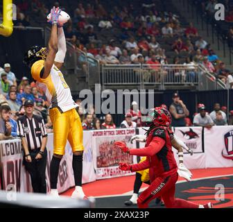 Jacksonville, Florida, Stati Uniti. 8 giugno 2024. Indoor Football League, Jacksonville Sharks vs Tulsa Oilers. Il WR degli Oilers Jonathan Nance (3) si eleva per fare la ricezione da touchdown contro il difensore degli Sharks Jabari Gorman (5). Foto: Tim Davis/Alamy Live News Foto Stock