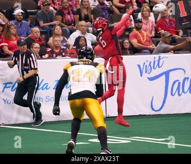 Jacksonville, Florida, Stati Uniti. 8 giugno 2024. Indoor Football League, Jacksonville Sharks vs Tulsa Oilers. Il wide open Sharks WR Jeremiah Payton (6) va a prendere contro gli Oilers LB tre Harvey (24). Foto: Tim Davis/Alamy Live News Foto Stock