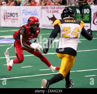 Jacksonville, Florida, Stati Uniti. 8 giugno 2024. Indoor Football League, Jacksonville Sharks vs Tulsa Oilers. Sharks RB Tyler King (3) corre verso la linea con Oilers DB tre Harvey (24) all'inseguimento. Foto: Tim Davis/Alamy Live News Foto Stock