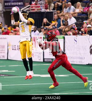 Jacksonville, Florida, Stati Uniti. 8 giugno 2024. Indoor Football League, Jacksonville Sharks vs Tulsa Oilers. Il WR degli Oilers Jonathan Nance (3) prende il passaggio, ma Sharks DB Richie Coffey è lì per limitare l'extra yardage. Foto: Tim Davis/Alamy Live News Foto Stock