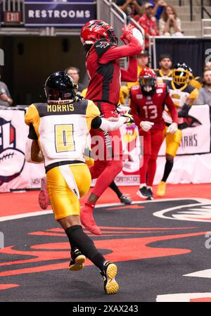 Jacksonville, Florida, Stati Uniti. 8 giugno 2024. Indoor Football League, Jacksonville Sharks vs Tulsa Oilers. Il WR degli squali Jeremiah Payton (6) fa il touchdown su ricezione contro Oilers DB Romon Morris (0). Foto: Tim Davis/Alamy Live News Foto Stock