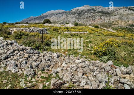 Resti dell'antica città minoica di Rizinia, sito archeologico di Prinia, massiccio del Monte Psiclorite in lontananza, Psiloritis Geopark, Creta, Grecia Foto Stock