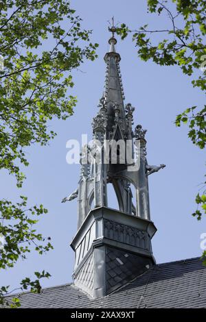 Guglia della chiesa del mercato di Bad Bergzabern fotografata attraverso i rami Foto Stock