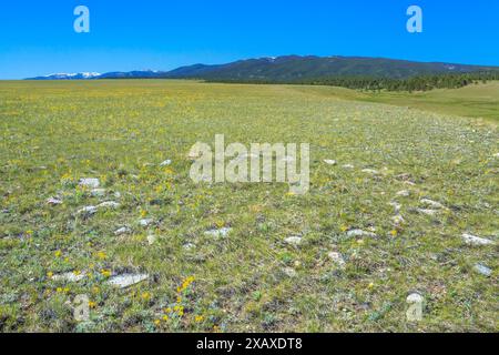 tipi ring sulla prateria sotto le grandi montagne innevate vicino a judith gap, montana Foto Stock