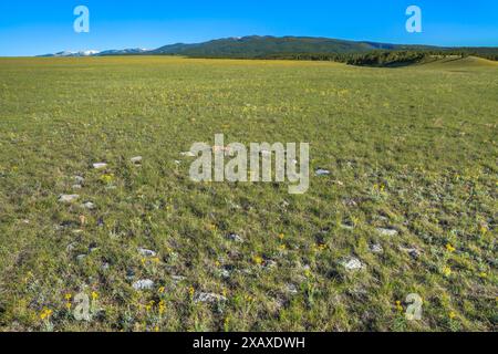 tipi ring sulla prateria sotto le grandi montagne innevate vicino a judith gap, montana Foto Stock