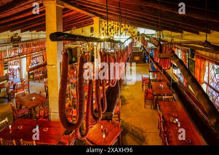 Sobrasadas appese nella stanza di asciugatura, Cal Dimoni, ristorante. Algaida. Maiorca. Isole Baleari. Spagna. Foto Stock