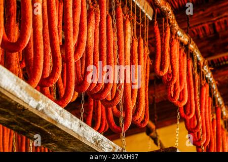 Sobrasadas appese nella stanza di asciugatura, Cal Dimoni, ristorante. Algaida. Maiorca. Isole Baleari. Spagna. Foto Stock