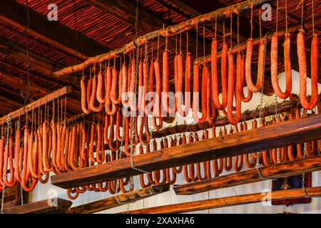 Sobrasadas appese nella stanza di asciugatura, Cal Dimoni, ristorante. Algaida. Maiorca. Isole Baleari. Spagna. Foto Stock