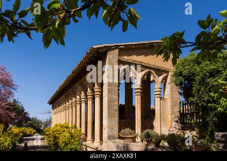 Monastero di Miramar, archi gotici del XIII secolo dell'ex convento di Santa Margalida a Palma, Valldemossa, Sierra de Tramuntana, Maiorca, Spagna. Foto Stock