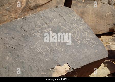 Petroglifi neolitici a Taghit nell'Algeria occidentale Foto Stock