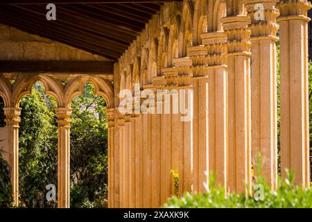 Monastero di Miramar, archi gotici del XIII secolo dell'ex convento di Santa Margalida a Palma, Valldemossa, Sierra de Tramuntana, Maiorca, Spagna. Foto Stock