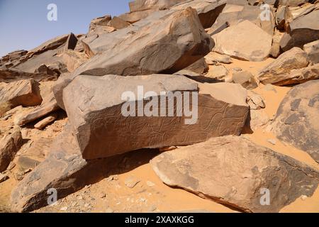 Petroglifi neolitici a Taghit nell'Algeria occidentale Foto Stock