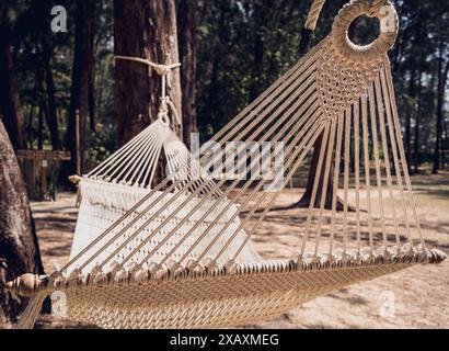 Un'amaca bianca di corda oscilla tra due alberi Foto Stock