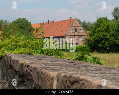 Casa in legno con tetto in tegole rosse dietro un muro in un ambiente rurale con molta vegetazione, Steinfurt, Renania settentrionale-Vestfalia, Germania Foto Stock