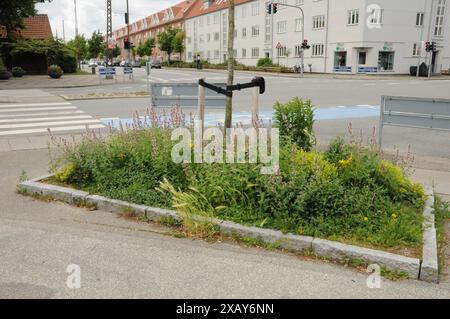 Copenhagen/ Danimarca/09 giugno 2024/Fiori e piante sono piantati in decoarte strada danese per la salute e bell'aspetto della zona e delle strade foto. Francis Joseph Dean/Dean Pictures non per uso commerciale Foto Stock