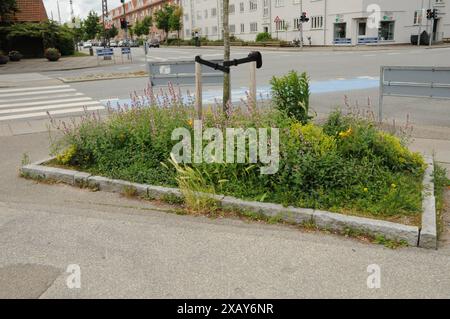 Copenhagen/ Danimarca/09 giugno 2024/Fiori e piante sono piantati in decoarte strada danese per la salute e bell'aspetto della zona e delle strade foto. Francis Joseph Dean/Dean Pictures non per uso commerciale Foto Stock