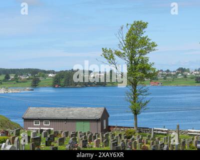 Cimitero con tombe e un albero di fronte a un lago blu in un paesaggio tranquillo, Haugesund, norvegia Foto Stock