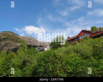 Vista delle case costruite su un pendio verde con alberi e montagne sullo sfondo sotto un cielo azzurro, Eidfjord NOR 3 Foto Stock