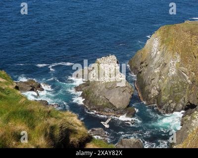 Scogliere aspre circondate da acque blu profonde e onde su una ripida costa, Lerwick, Shetland, Scozia, Regno Unito Foto Stock