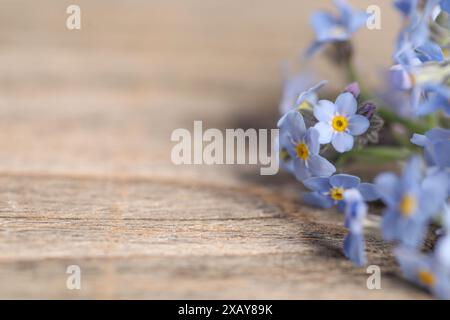 Bellissimi fiori dimenticati su sfondo di legno, primo piano. Spazio per il testo Foto Stock