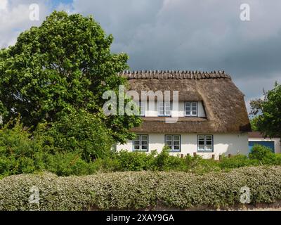 Una tradizionale casa di campagna con tetto in paglia, circondata da alberi e cespugli, sotto un cielo nuvoloso, Arnis, Schleswig-Holstein, Germania Foto Stock