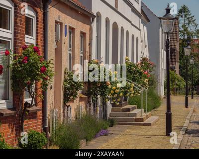 Strada romantica con rose in fiore e lanterne tradizionali di fronte a una fila di case, friedrichstadt, schleswig-holstein, germania Foto Stock