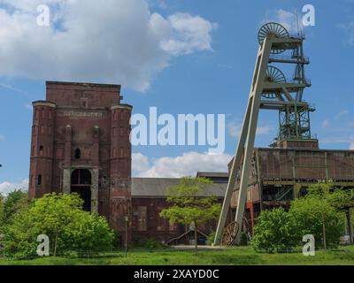 Herten-20 Herten, Renania settentrionale-Vestfalia, Germania Foto Stock