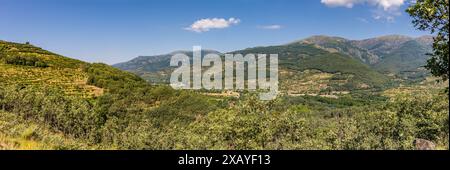 Panorámica de la ruta a los Pilones, en el Valle del Jerte, en la Garganta de los Infiernos. La vegetación es abundante. Cáceres, España Foto Stock